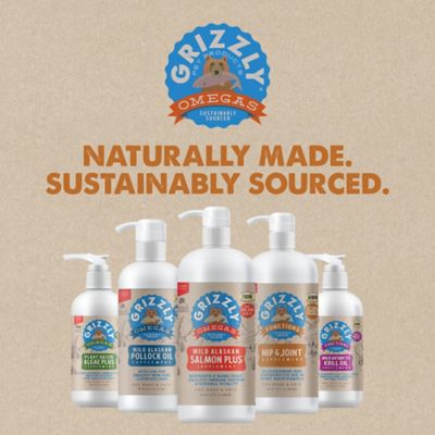 Image showing 8 th Grizzly Joint Aid Liquid Supplement for Dogs, 16 oz.