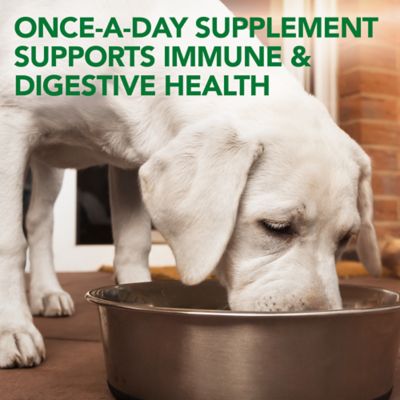 Image showing  Probiotic Soft Chewable Digestive Supplement for Dogs, 30 ct.