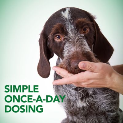 Image showing  Probiotic Soft Chewable Digestive Supplement for Dogs, 30 ct.