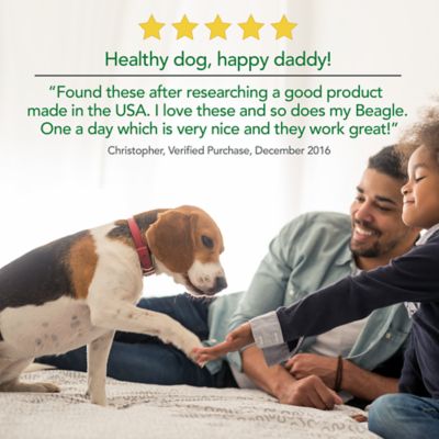 Image showing  Probiotic Soft Chewable Digestive Supplement for Dogs, 30 ct.