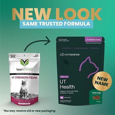 Image showing  UT Strength Bite-Sized Chews for Cats, 60 ct.