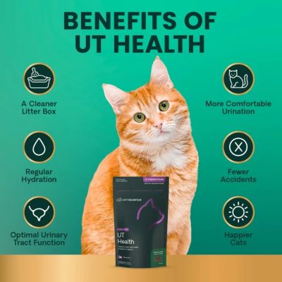 Image showing  UT Strength Bite-Sized Chews for Cats, 60 ct.