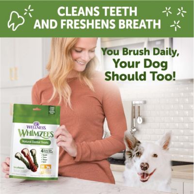 Image showing 5 th Wellness WHIMZEES Brushzees Natural Dental Dog Treats, Medium Size, 12 ct.