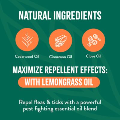 Image showing  Natural Flea & Tick Yard Spray, 32 oz.