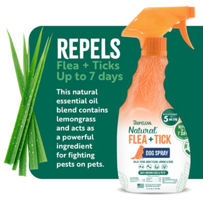 Image showing  Flea & Tick Spray, 16 oz., 48216002