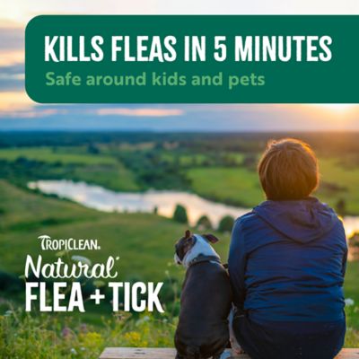 Image showing  Flea & Tick Spray, 16 oz., 48216002