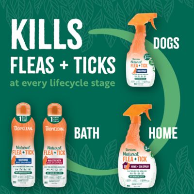 Image showing 6 th TropiClean Flea & Tick Spray, 16 oz., 48216002