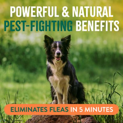 Image showing 8 th TropiClean Flea & Tick Spray, 16 oz., 48216002