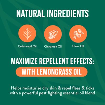 Image showing 9 th TropiClean Flea & Tick Spray, 16 oz., 48216002