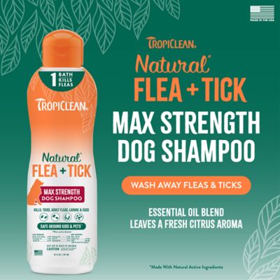 Image showing 1 th TropiClean Natural Flea & Tick Maximum Strength Shampoo for Dogs, 20 oz.