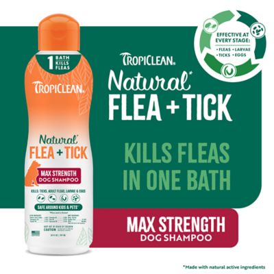 Image showing  Natural Flea & Tick Maximum Strength Shampoo for Dogs, 20 oz.