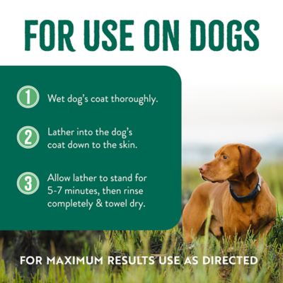 Image showing  Natural Flea & Tick Maximum Strength Shampoo for Dogs, 20 oz.