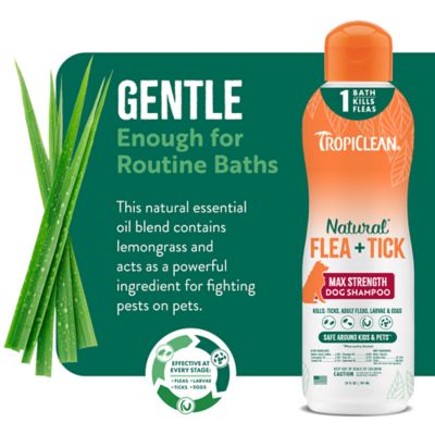 Image showing 8 th TropiClean Natural Flea & Tick Maximum Strength Shampoo for Dogs, 20 oz.