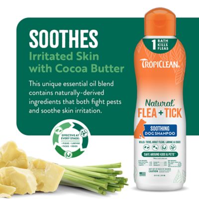 Image showing 5 th TropiClean Natural Flea + Tick Soothing Shampoo for Dogs, 20 oz.