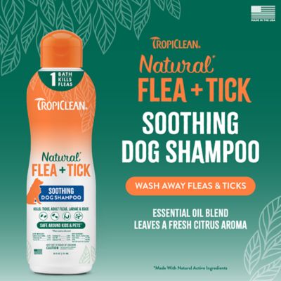 Image showing 7 th TropiClean Natural Flea + Tick Soothing Shampoo for Dogs, 20 oz.