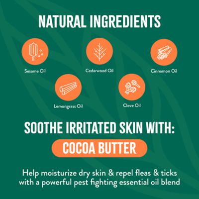 Image showing 9 th TropiClean Natural Flea + Tick Soothing Shampoo for Dogs, 20 oz.