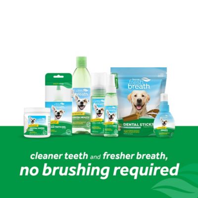 Image showing  Fresh Breath No Brushing Peanut Butter Flavor Clean Teeth Dental & Oral Care Gel for Dogs, 2 oz.