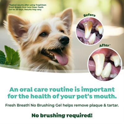 Image showing 6 th TropiClean Fresh Breath No Brushing Peanut Butter Flavor Clean Teeth Dental & Oral Care Gel for Dogs, 2 oz.
