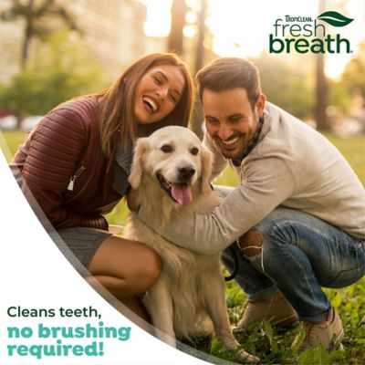 Image showing 10 th TropiClean Fresh Breath No Brushing Peanut Butter Flavor Clean Teeth Dental & Oral Care Gel for Dogs, 2 oz.