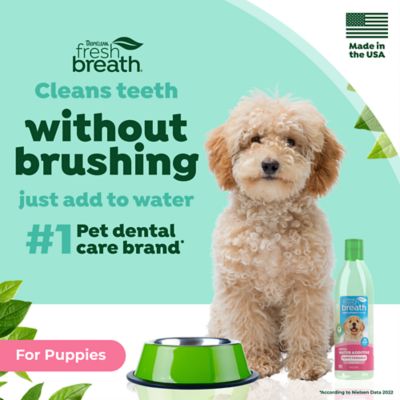 Image showing 5 th TropiClean Fresh Breath Dental Health Solution for Puppies, 16 oz.