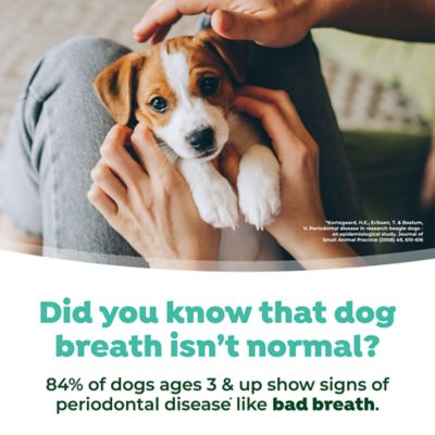 Image showing 8 th TropiClean Fresh Breath Dental Health Solution for Puppies, 16 oz.