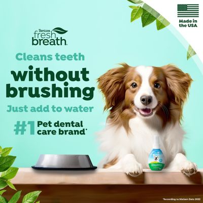 Image showing 6 th TropiClean Fresh Breath Oral Care Drops for Dogs, Dog Breath Freshener