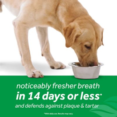 Image showing 9 th TropiClean Fresh Breath Advanced Whitening Dental Health Solution for Dogs, 16 oz.
