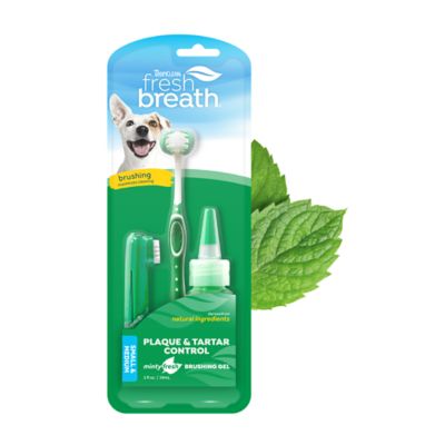 Image showing  Fresh Breath Oral Care Kit, Small
