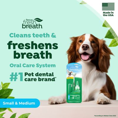 Image showing  Fresh Breath Oral Care Kit, Small