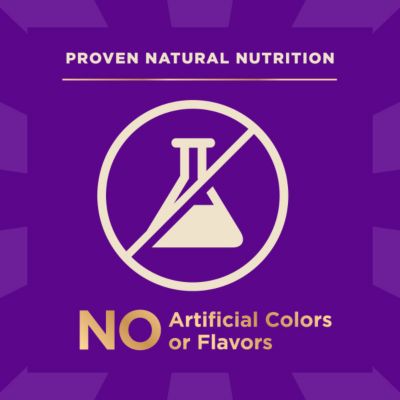 Image showing 6 th Wellness CORE+ RawRev Natural Small Breed Grain Free Original Turkey & Chicken with Freeze Dried Turkey Dry Dog Food