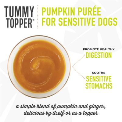 Image showing  Pumpkin Puree Tummy Topper Healthy Digestion Treats for Dogs, 1.5 oz.