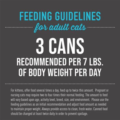 Image showing 5 th Tiki Cat After Dark Grain-Free Chicken and Quail Egg Wet Cat Food, 2.8oz.