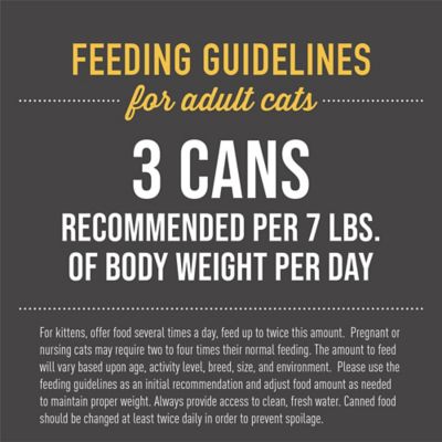 Image showing 5 th Tiki Cat After Dark Grain-Free Chicken Recipe in Broth Wet Cat Food, 2.8oz.