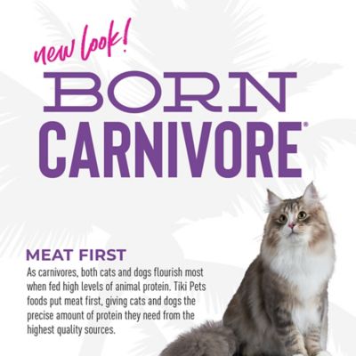 Image showing 6 th Tiki Cat Born Carnivore Chicken and Fish Dry Cat Food