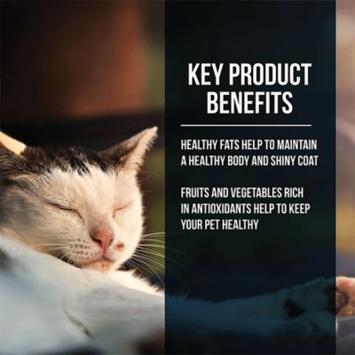 Image showing  Market Fresh All Life Stages Salmon and Chicken Recipe Dry Cat Food