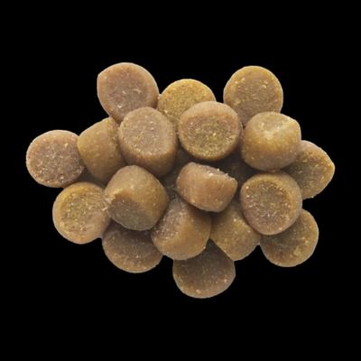 Image showing  Puppy Naturals Salmon Recipe Dog Treats, 5 oz.
