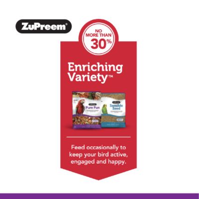 Image showing  Pure Fun Pet Bird Seed for Parrots and Conures, 2 lb.