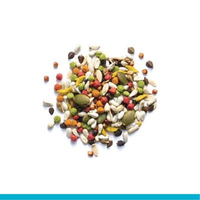 Image showing  Sensible Seed Medium Bird Seed, 2 lb.