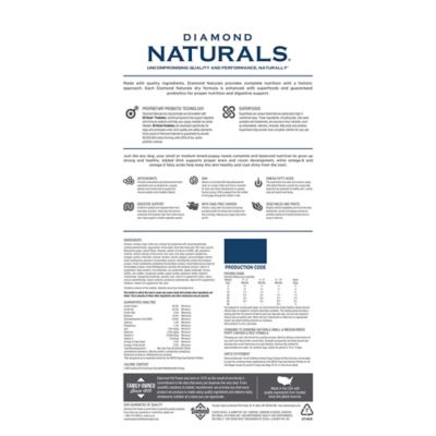 Image showing  Small/Medium Breed Puppy Chicken and Rice Formula Dry Dog Food