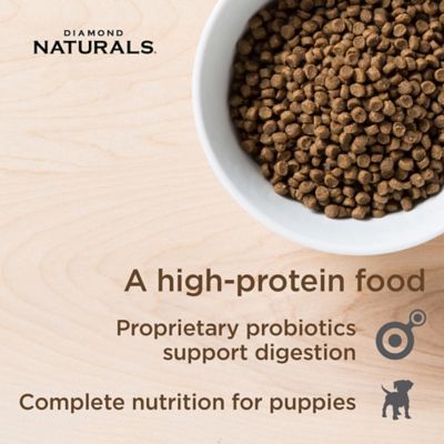 Image showing  Small/Medium Breed Puppy Chicken and Rice Formula Dry Dog Food