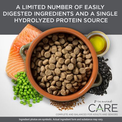 Image showing 2 th Diamond Care Adult Sensitive Skin Formula Dry Dog Food