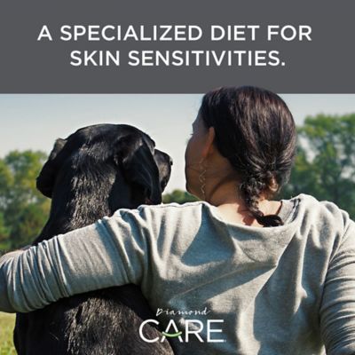 Image showing 3 th Diamond Care Adult Sensitive Skin Formula Dry Dog Food