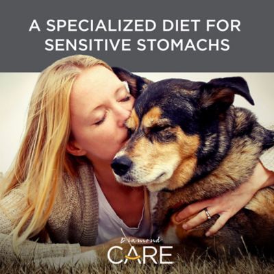 Image showing  Care Adult Sensitive Stomach Formula Dry Dog Food