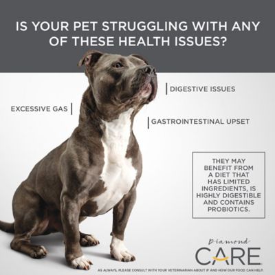 Image showing  Care Adult Sensitive Stomach Formula Dry Dog Food