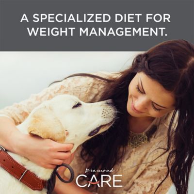 Image showing  Care Adult Weight Management Formula Dry Dog Food