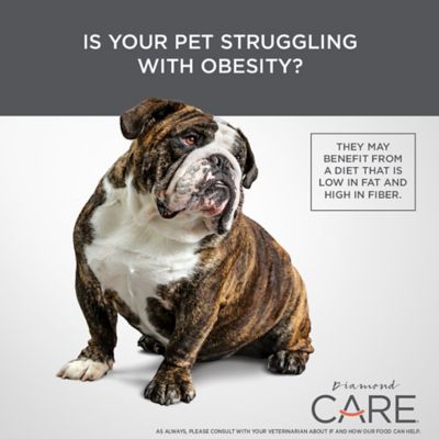 Image showing  Care Adult Weight Management Formula Dry Dog Food