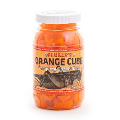 Image showing  Orange Cube Complete Cricket Diet