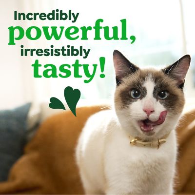 Image showing 7 th Greenies Natural Dental Care Cat Treats Oven Roasted Chicken Flavor, 21 oz.