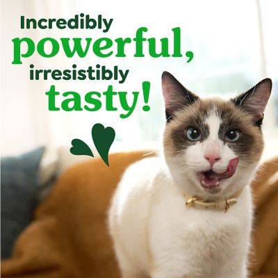 Image showing 6 th Greenies Tempting Tuna Flavor Natural Dental Care Adult Cat Treats, 21 oz.
