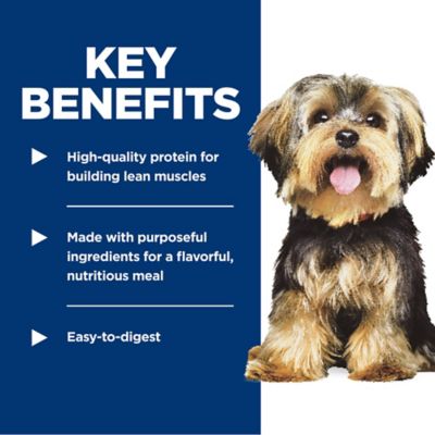 Image showing  Adult Small and Mini Savory Stew with Beef Wet Dog Food, 3.5 oz.